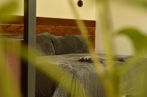 Las Loicas Chalten Apart