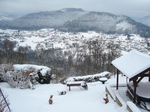 Hotelli välisilme, Gîte with views of the Vosges Mountains (Gite with views of the Vosges Mountains) in Haselbourg