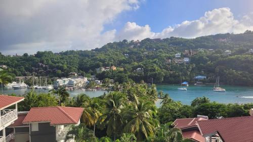 Cabin in the hillside Marigot Bay in Marigot Bay