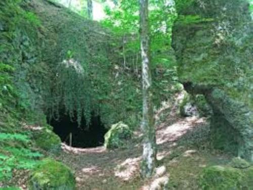 Apkārtne, Ferienwohnung in der Vulkaneifel in Winkel (Eifel)