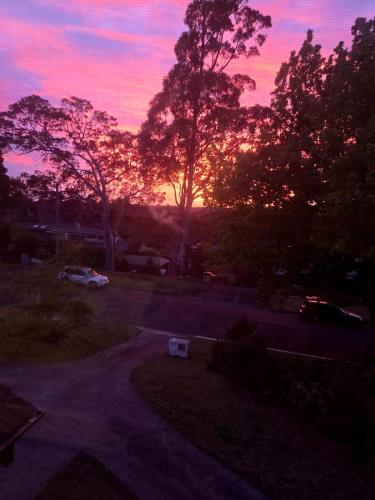 Sadržaji, Leafy Suburb Oasis with Comfort and Charm in Upper North Shore