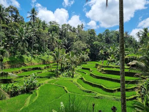 Gongwi Cottages Sidemen, Bali