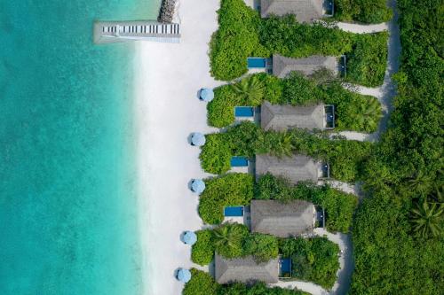 泳池, 艾美馬爾代夫度假村及水療中心 (Le Méridien Maldives Resort & Spa) in 拉黑比亞尼環礁