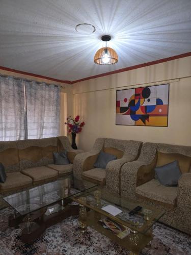 Two bedrooms furnished houses in Mwea