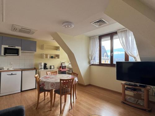 Appartement au dernier étage avec parking et climatisation à Aix-les-Bains! - FR-1-555-42 - Location saisonnière - Aix-les-Bains
