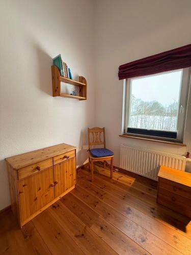 Lachmöwe in Munkbrarup, Deutschland