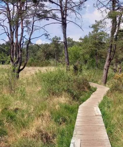 Un morceau de terrain pour ta tente gîte à louer Le Chêne de Guillotin