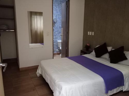 Hotel Alcuara Pereira Center