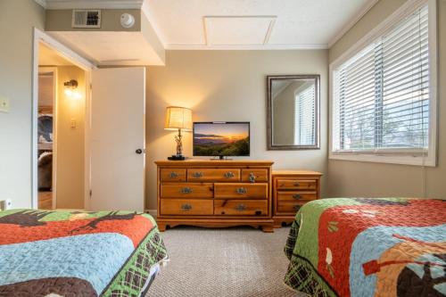 Mountain Top Retreat - 1 Mile from Ober Mountain! - image 3