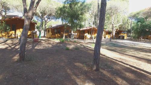 Camping Golfo dell'Asinara