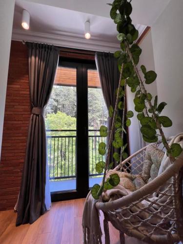 Premium Apartments in Abastumani in Abastumani