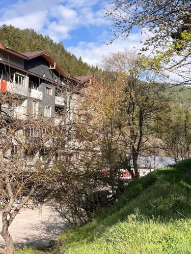 Premium Apartments in Abastumani in Abastumani