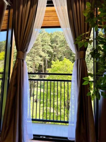 Premium Apartments in Abastumani in Abastumani