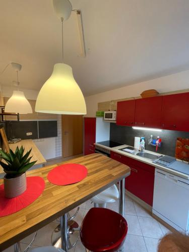 Gemütliche und geräumige Ferienwohnung in Universitätsnähe (Gemutliche und geraumige Ferienwohnung in Universitatsnahe) in 伊爾梅瑙