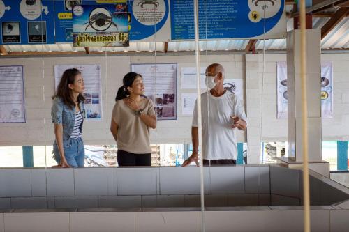 Foto - Sheraton Hua Hin Pranburi Villas