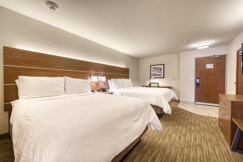 1 king bed, 2 queen beds, 1 sofa bed