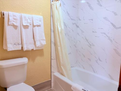 Aloha Inn - image 20