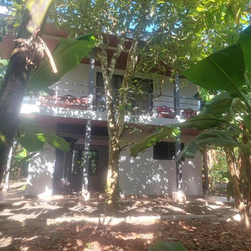 . Family Cabin Surrounded by Nature - Patio & Pool