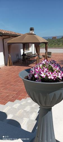 Exterior view, Oliveto Relax Alloggio Turistico in Monte Porzio Catone