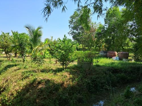 Up the Farm White House Talay Bua Daeng in Prajak Silpakom