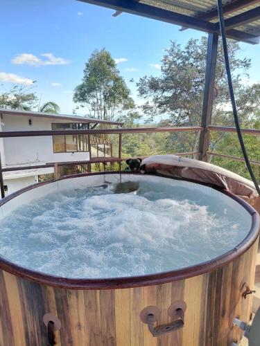 Beautiful view cabin in Boquete in Palmira