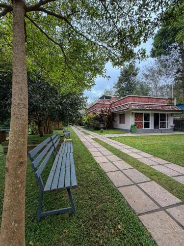 Maple grove villa resort  in Panamaram