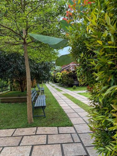 Maple grove villa resort  in Panamaram