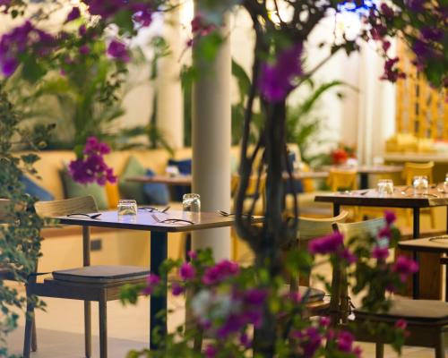 餐廳, Biosphere Beach in 芭環礁