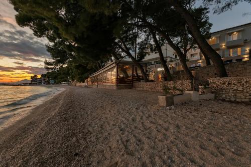Beachfront Deluxe B&B - image 6