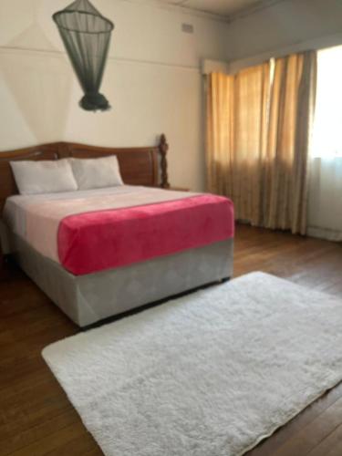Elgin Guest in Harare