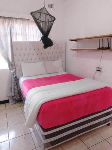 Elgin Guest in Harare