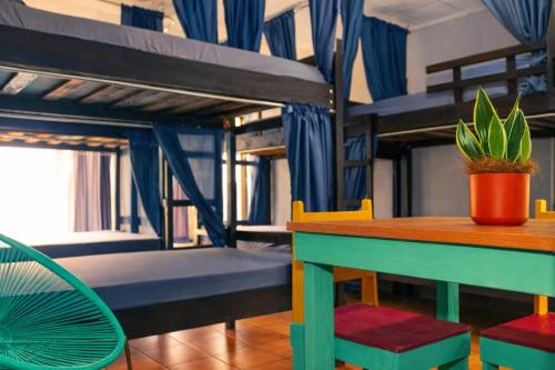 Chill Out Escalante Hostel in San Pedro