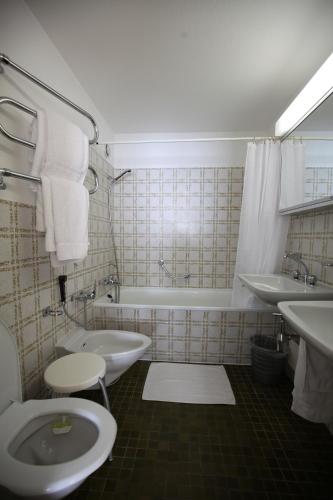 Apartment In Center Of Davos - image 3