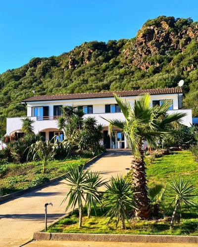 Villa Monte Calvia