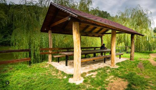 Restorāns, Ioska Boro in Rusca