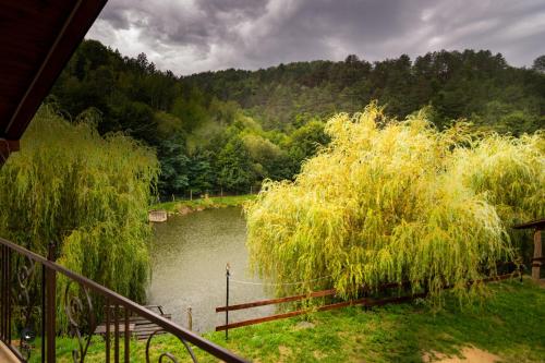 Atpūtas iespējas, Ioska Boro in Rusca