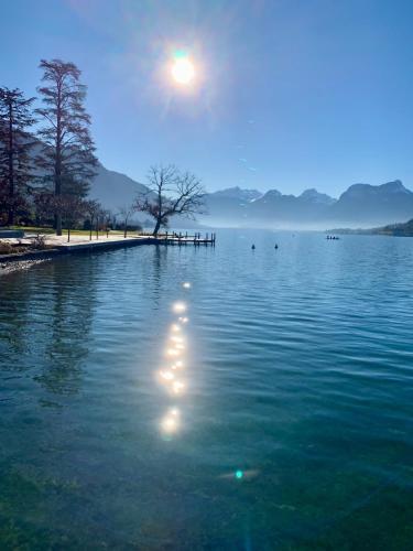 酒店活動, Chalet neuf climatisé GIEZ Lac d Annecy et Montagnes (Chalet neuf climatise GIEZ Lac d Annecy et Montagnes) in 日耶