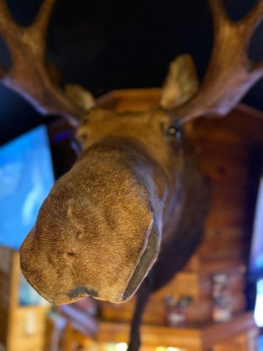 餐廳, The Moosehead in 甘德