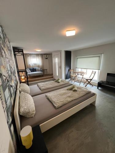 Viesnīcas āriene, modernes Monteurzimmer mit zwei Einzelbetten in Laudenbach (Rhein-Neckar)