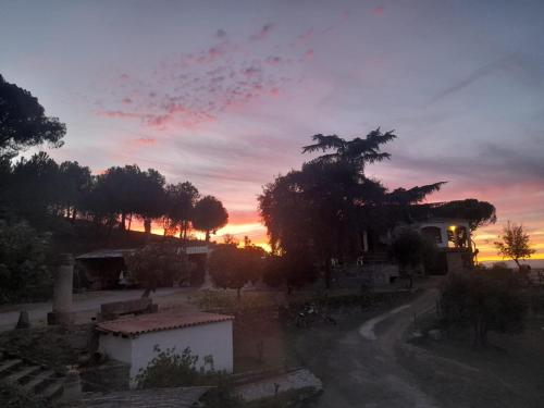 El Cerro del Pinar in Oropesa
