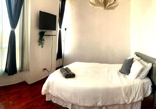 Historic apartment Casa El Fénix CDMX