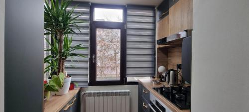 Urban Chroma in Barlad