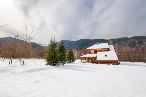Cabana Antonica in Lisa (Brasov)