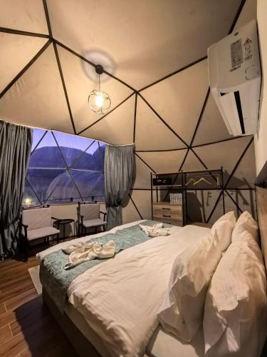 Wadi rum bubble camp in Petra