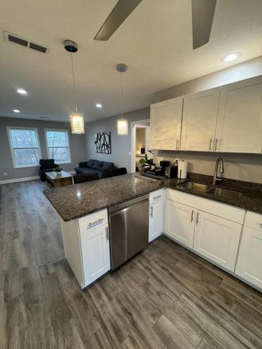 Spacious 2BR Apt with Balcony and 2 King Beds Sleeps 6 in South Beloit (IL)