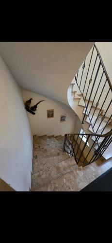 Phönix2 (Phonix2) in 巴特阿巴赫