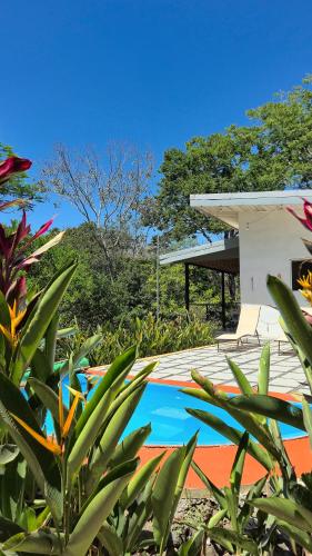 Peldbaseins, Villas Pura Vida - Guapinol in Cobano