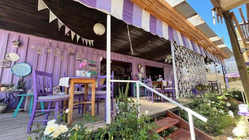 Lavanda del Valle in Pelicana