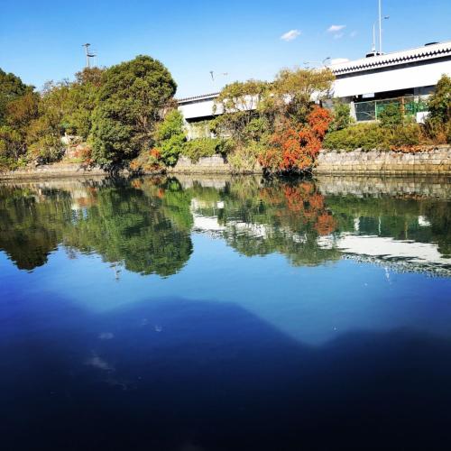 View, Ninja House★JA1 in Osanbashi Pier
