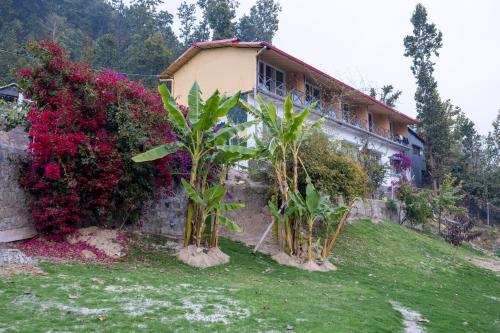 River and Roots Resort in Galajwari